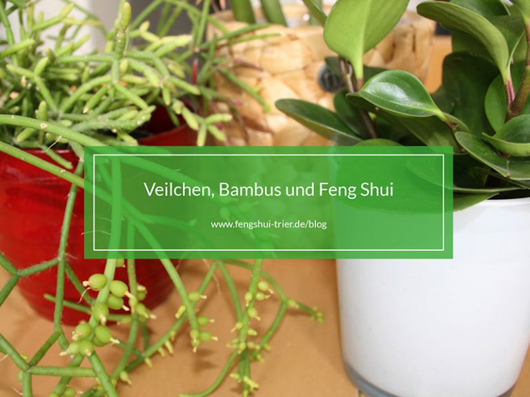 Veilchen, Bambus und Feng Shui