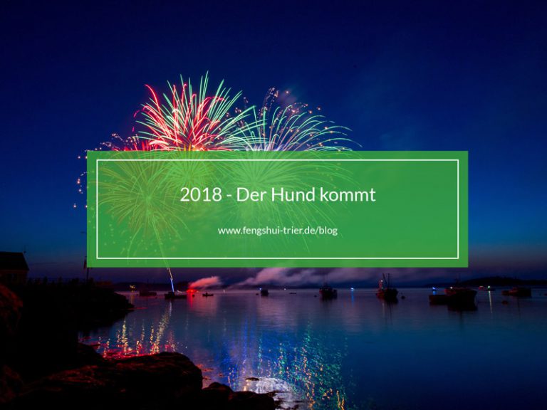 2018 - Der Hund kommt