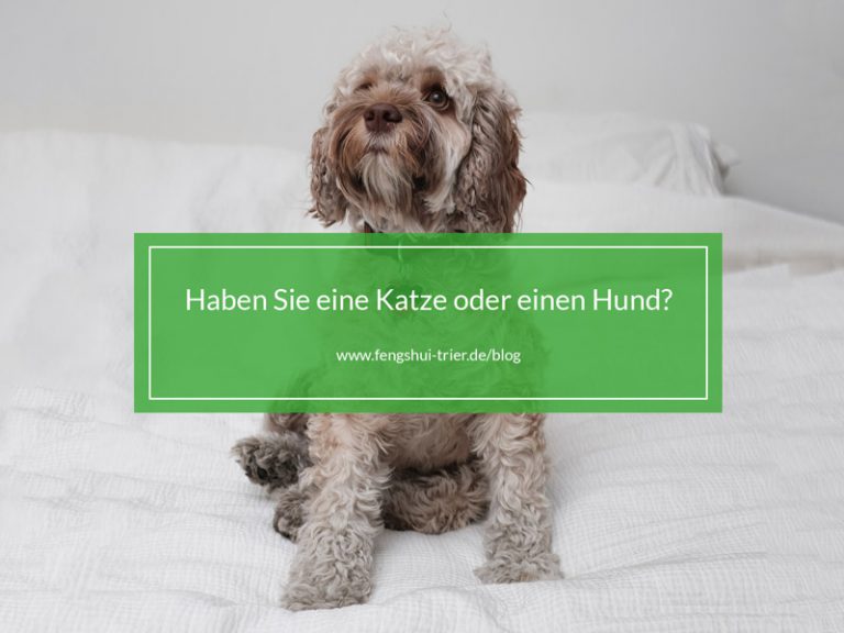 Haben Sie eine Katze oder einen Hund?