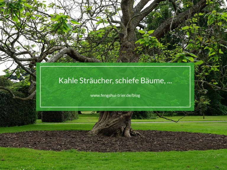 Kahle Sträucher, schiefe Bäume, ...