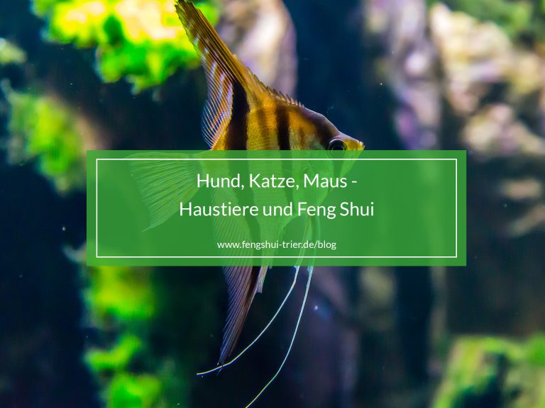 Hund, Katze, Maus - Haustiere und Feng Shui