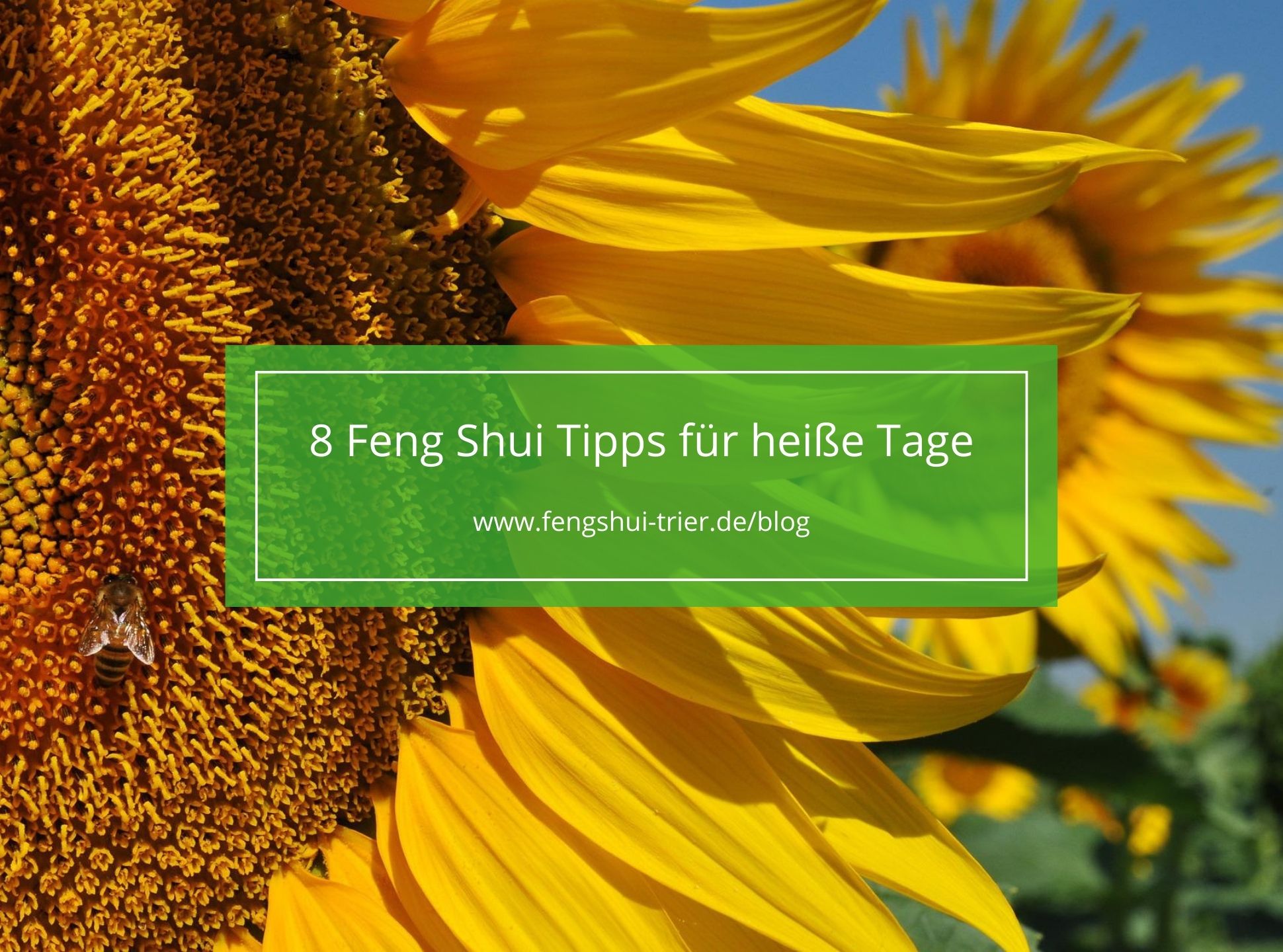 8 Feng Shui Tipps für heiße Tage